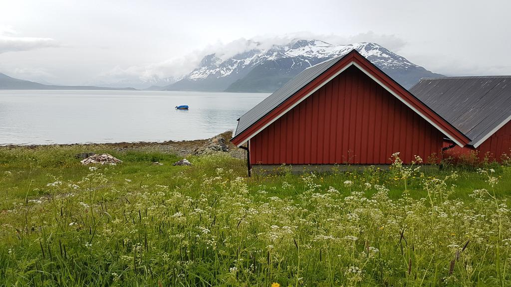 Slettvold Lyngen Villa Svensby Eksteriør billede
