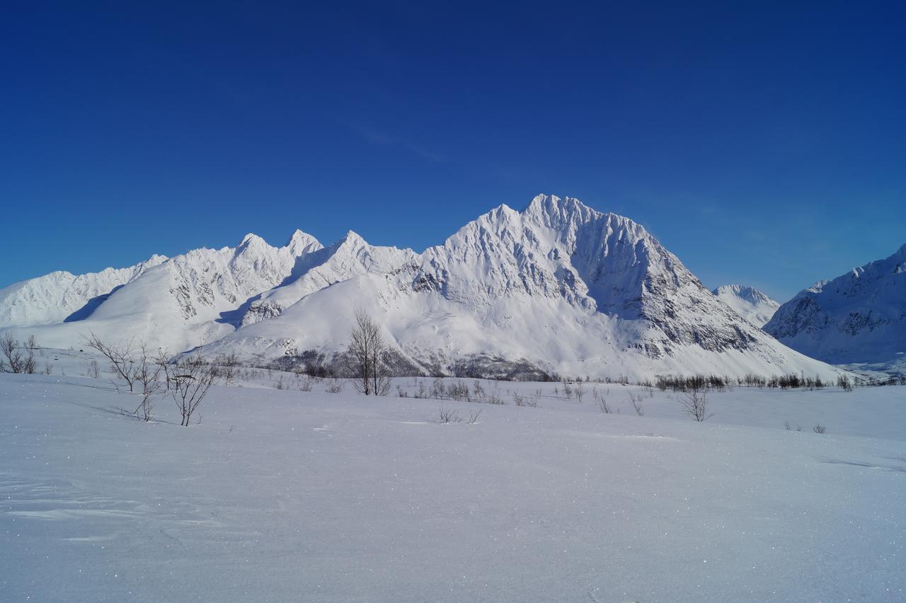 Slettvold Lyngen Villa Svensby Eksteriør billede