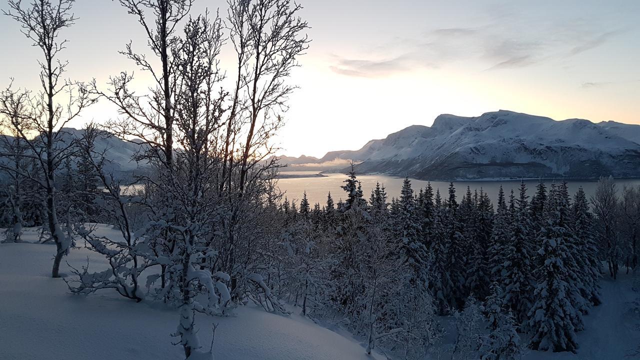 Slettvold Lyngen Villa Svensby Eksteriør billede